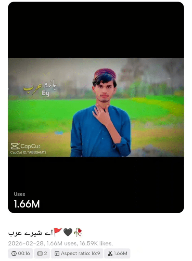 Aye Shere Arab Image Capcut Template 2026 Download | Arab Bazu E Arab Song Reel Template Download 2 image 55