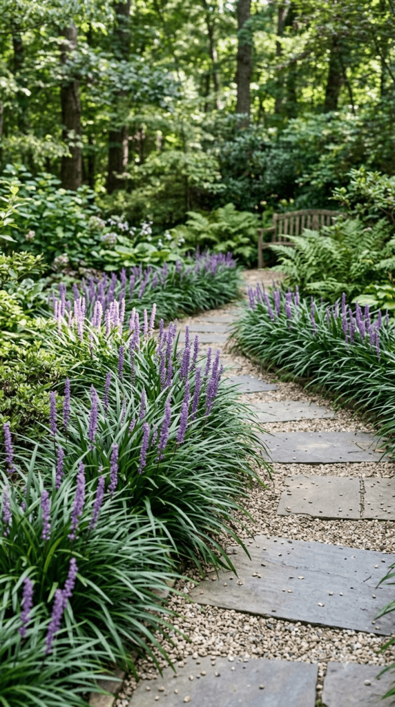 Liriope (Lilyturf) — "Lilyturf Lining the Garden Path