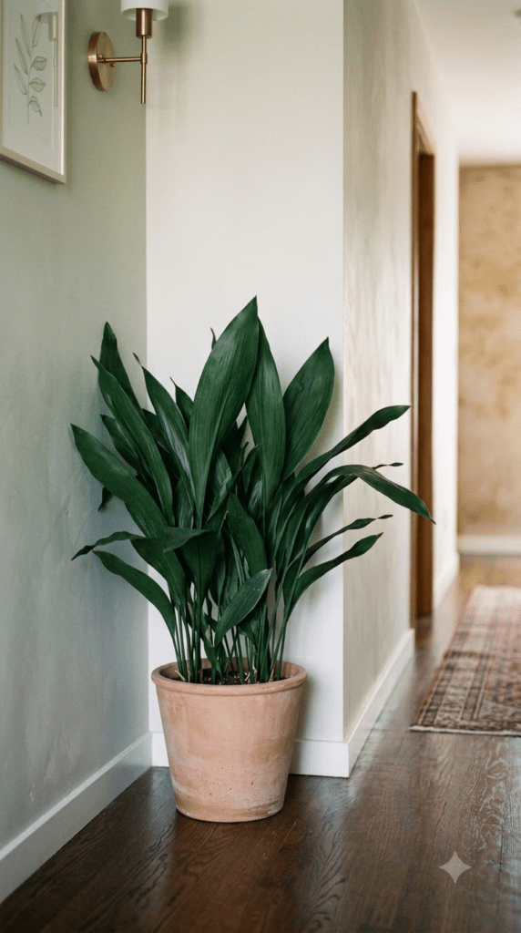 18 Statement-Making Tall Indoor Plants That Transform Empty Corners 18 Cast Iron Plant — "Quiet Elegance in the Hallway"