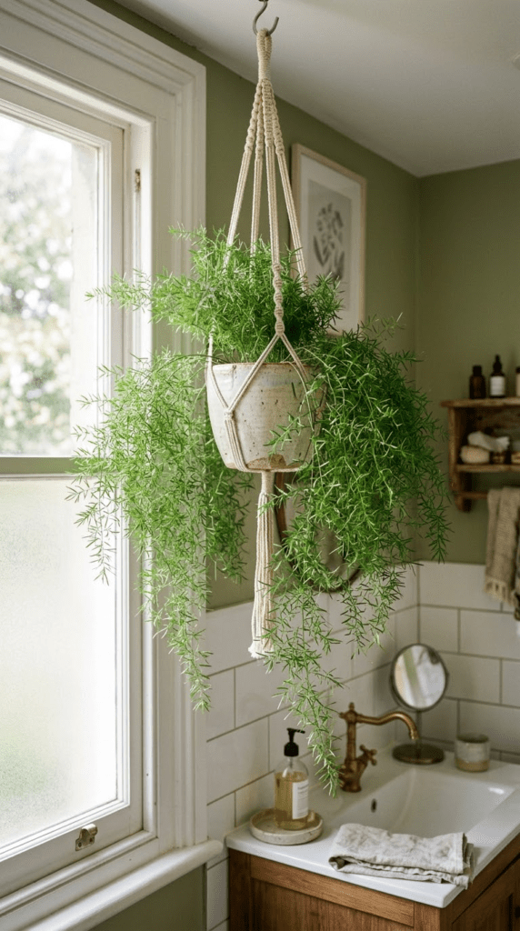 Philodendron